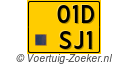 01-DSJ-1