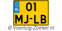01-MJ-LB