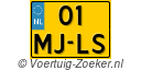01MJLS