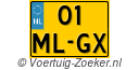 01MLGX