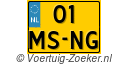 01MSNG