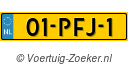 01PFJ1