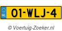 01-WLJ-4