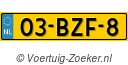 03BZF8