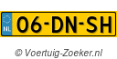 06DNSH
