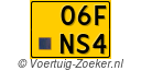 06-FNS-4