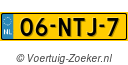 06NTJ7