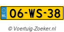 06-WS-38