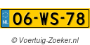 06-WS-78