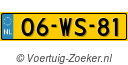 06-WS-81