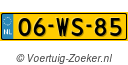 06-WS-85