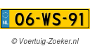 06WS91