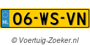 06-WS-VN