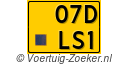 07-DLS-1