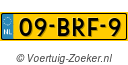 09-BRF-9