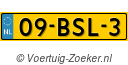 09-BSL-3