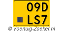 09-DLS-7
