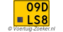 09-DLS-8