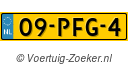 09PFG4