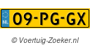 09PGGX