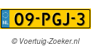 09PGJ3