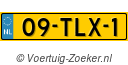 09TLX1