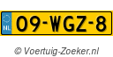 09WGZ8