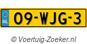 09-WJG-3
