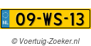 09WS13