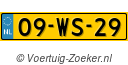 09WS29