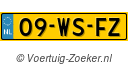 09WSFZ
