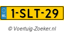 1SLT29