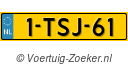 1TSJ61