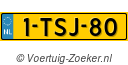 1TSJ80