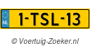 1TSL13