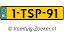 1TSP91