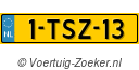 1TSZ13