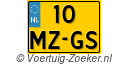 10-MZ-GS