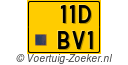 11DBV1