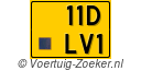 11-DLV-1
