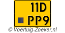 11-DPP-9