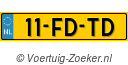 11FDTD