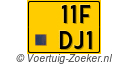 11FDJ1