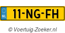 11NGFH