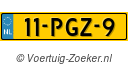 11PGZ9