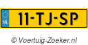 11TJSP