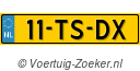 11TSDX