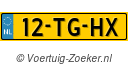 12TGHX