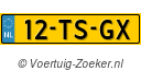 12TSGX