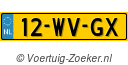 12WVGX